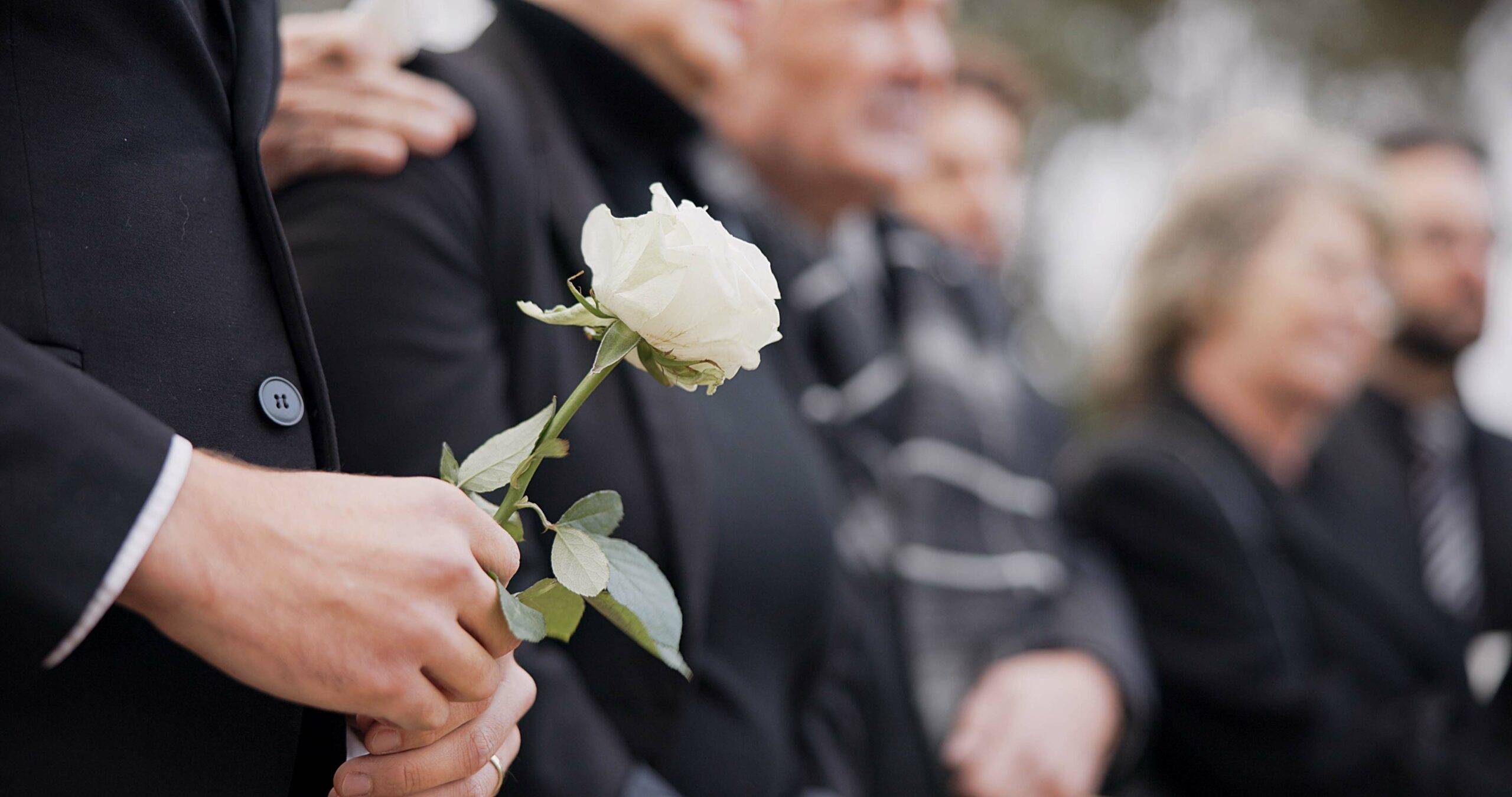 Hands, rose and a person at a funeral in a cemetery in grief while mourning loss at a memorial serv.